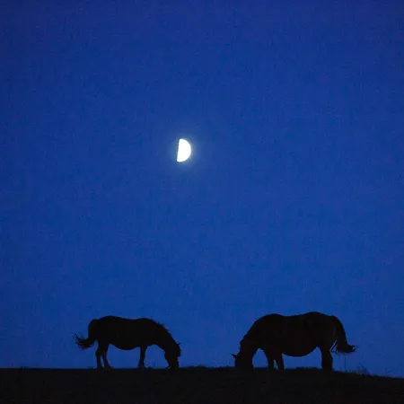Na Pastwisku Διαμέρισμα Szymbark (Pomerania)