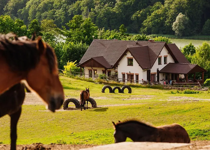 Lägenhet Na Pastwisku Szymbark (Pomerania)
