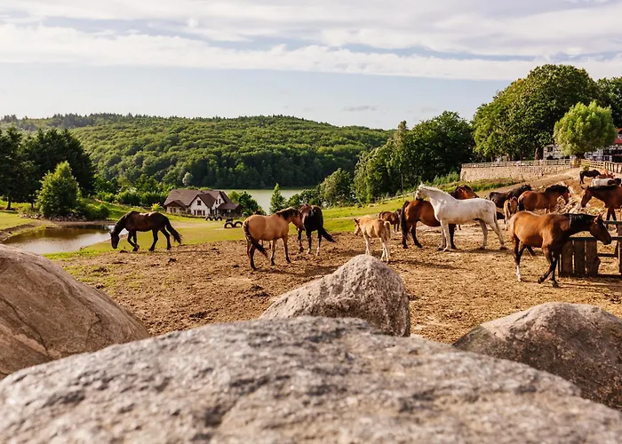Na Pastwisku Appartamento *