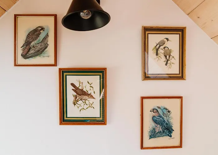 Na Pastwisku Szymbark (Pomerania)