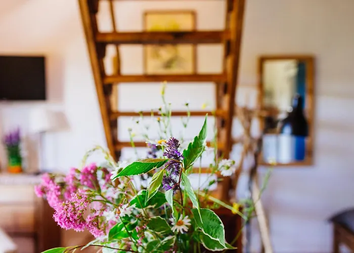 Na Pastwisku * Szymbark (Pomerania)