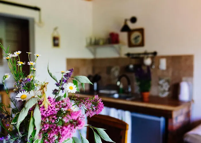 Na Pastwisku Appartamento *